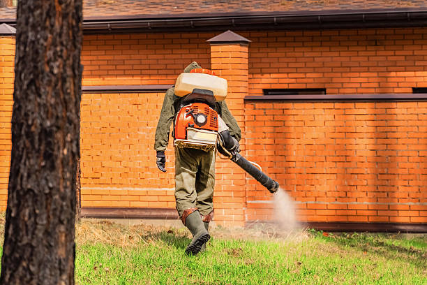 Bed Bug Clearance Verification and Documentation in North Tunica